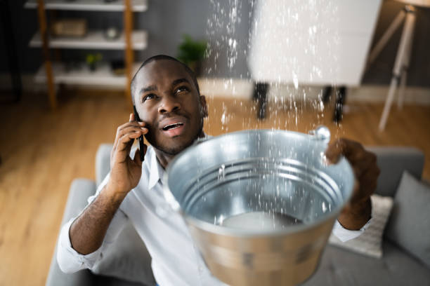 Best Mold removal after water damage  in Culloden, WV