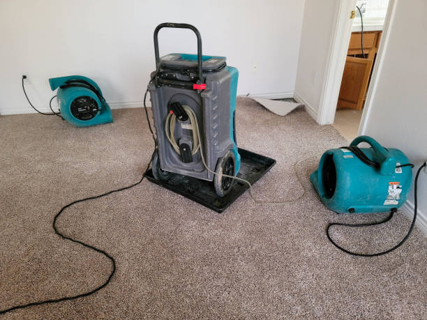 Best Mold removal after water damage  in Culloden, WV