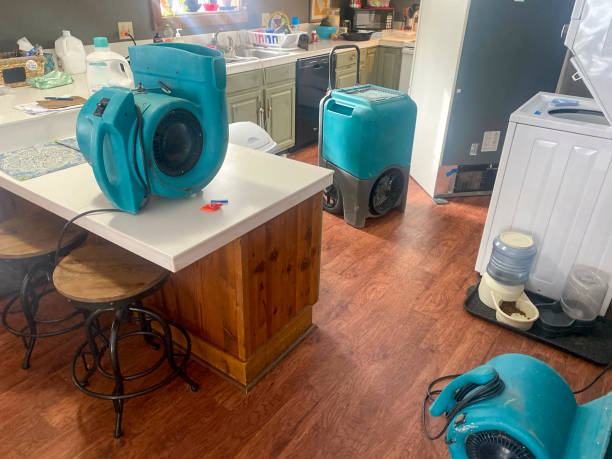 Best Sewage cleanup and water damage restoration  in Culloden, WV