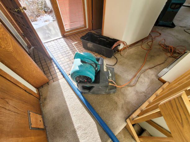 Best Ceiling water damage repair  in Culloden, WV