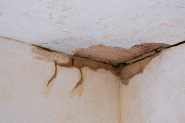 Best Water damage cleanup near me  in Culloden, WV