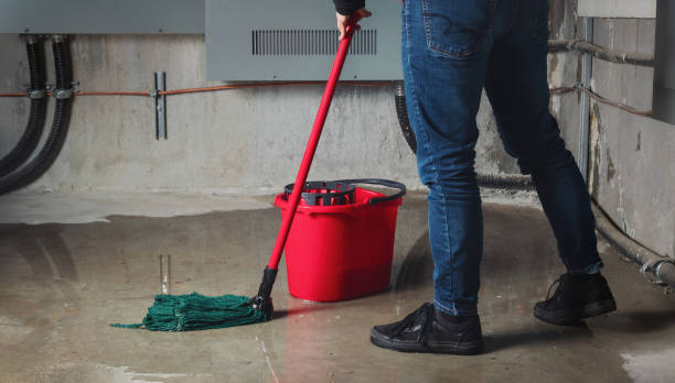 Best 24/7 water damage repair  in Culloden, WV