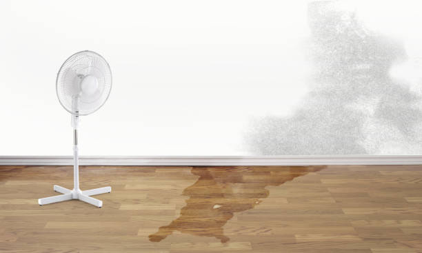 Best Commercial water damage restoration  in Culloden, WV
