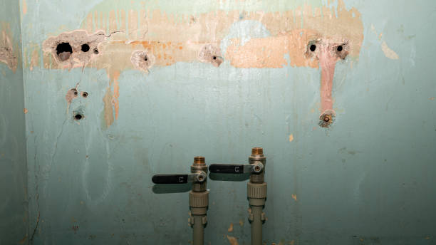 Best Carpet water damage restoration  in Culloden, WV