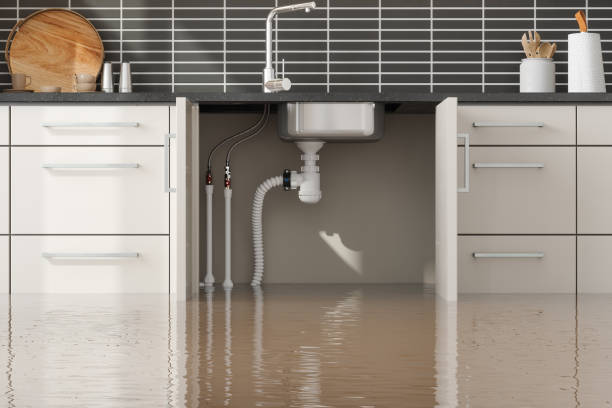 Best Professional water damage repair  in Culloden, WV