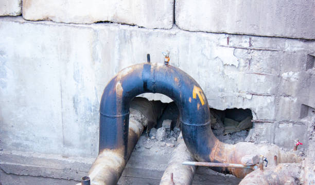 Best Basement water damage restoration  in Culloden, WV