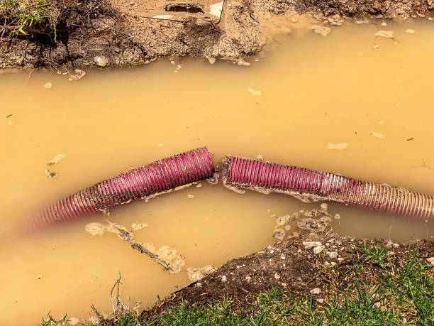 Best Local water damage restoration  in Culloden, WV