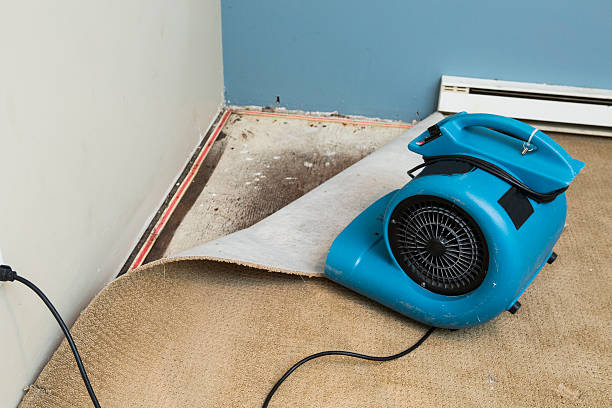 Best Water damage restoration near me  in Culloden, WV