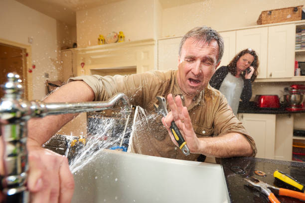 Best Flood damage cleanup  in Culloden, WV
